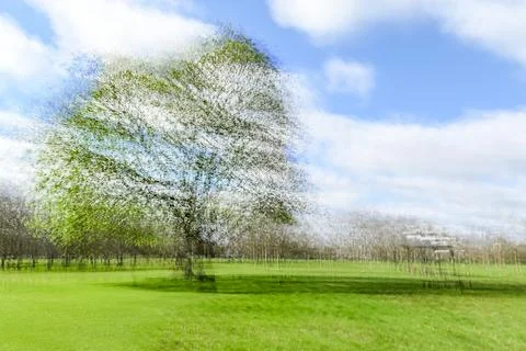 Multiple exposure tree Stock Photos