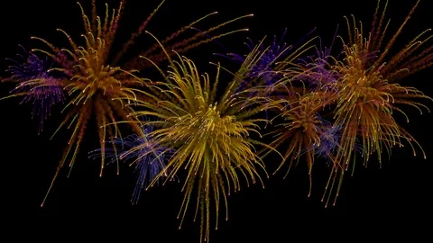 Multiple firework explosions with trails. Stock-Footage 97122607