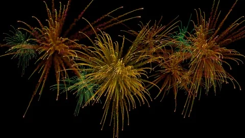 Multiple firework explosions with trails. Stock Footage 97123645