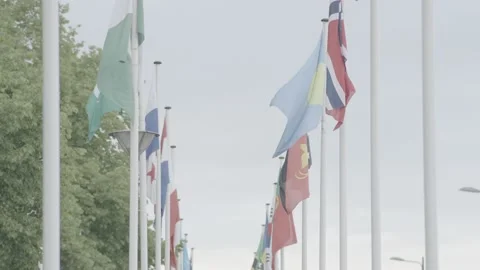 Multiple Flags 4k 60fps s-log 3 10bit Footage Vidéo 196182981