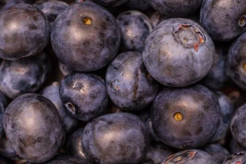 Multiple Fresh Blueberries Stock Photos