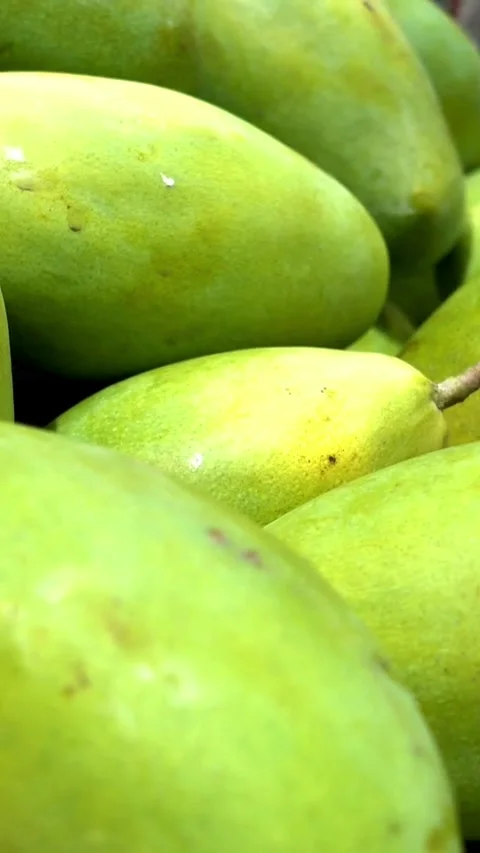 Multiple fresh green raw mangoes piled at fruit market Vídeo Stock 331928308