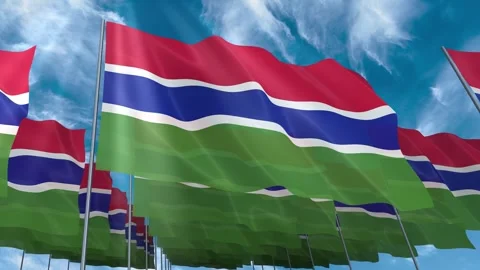 Multiple Gambia flags seamless looping waving on blue sky Stock Footage 343680513