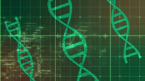 Multiple green 3d double helix dna strands spinning on a red gradient background Stock Footage 329690346