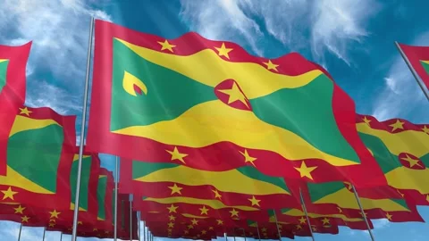 Multiple Grenada flags seamless looping waving on blue sky Stock Footage 343681008