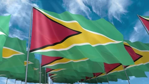Multiple Guyana flags seamless looping waving on blue sky Stock Footage 343681222