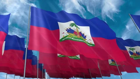 Multiple Haiti flags seamless looping waving on blue sky Stock Footage 343681313