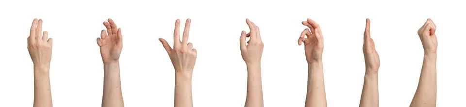 Multiple hands raised in different gestures isolated on white background. Hum Stock Photos