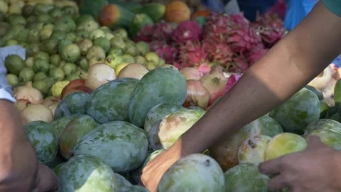 Multiple hands selecting green mangoes stall; buyers and vendor examine ripeness Stock Footage 321819542