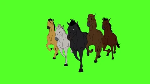 Multiple Horses running Front View Green Screen Stock Footage 305724861