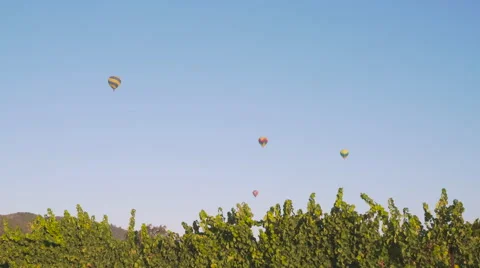Multiple Hot Air Balloons over Vineyard 스톡 동영상 56691018