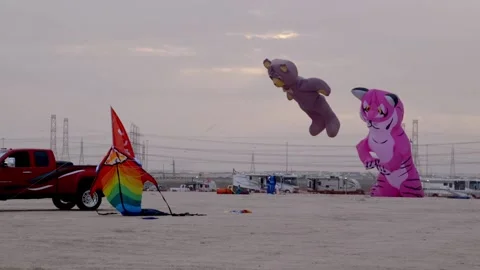 Multiple huge kites in desert landscape Video stock 174960710