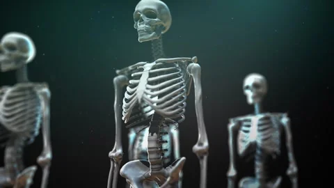 Multiple Human Skeleton Models Anatomy Visualization on Dark Background 動画素材 338252046