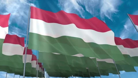 Multiple Hungary flags seamless looping waving on blue sky Stock Footage 343681417