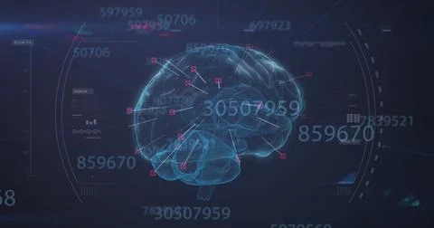 Multiple increasing numbers over spinning human brain against blue background Stock Photos