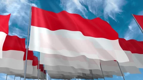 Multiple Indonesia flags seamless looping waving on blue sky Stock Footage 343681528