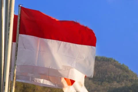 Multiple Indonesian Flags Fluttering In Wind Near Mountain Hill Under Clear.. Stock-Fotos