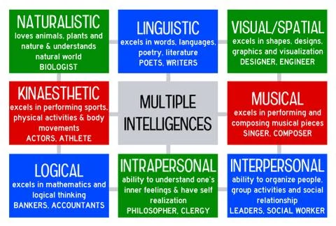 Multiple intelligences Stock Illustration
