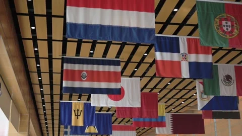 Multiple international flags hanging from ceiling in modern public space 스톡 동영상 319921128
