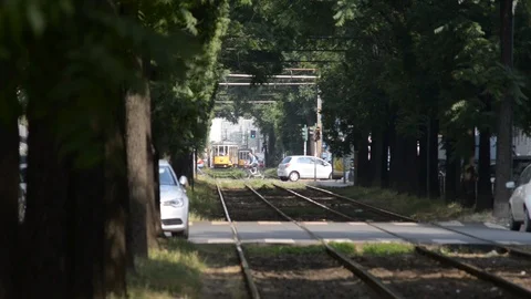 Multiple intersections on the Milan tramway Video stock 111329593