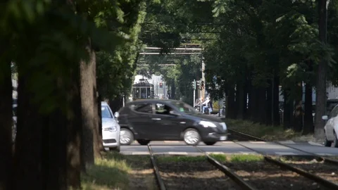 Multiple intersections on the Milan tramway Video stock 111329627