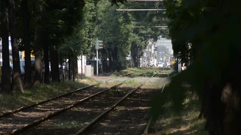 Multiple intersections on the Milan tramway Video stock 111329677