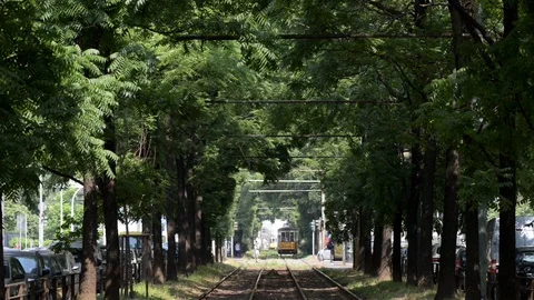 Multiple intersections on the Milan tramway Stock Footage 111329678