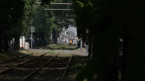 Multiple intersections on the Milan tramway Video stock 111329709