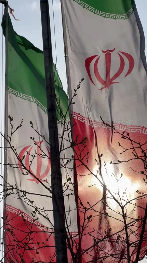 Multiple Iranian flags waving in the wind with sun shining through Stock Footage 345321560
