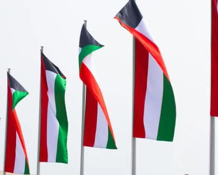 Multiple Kuwait national flags flying during the day at a event in Qatar Photos