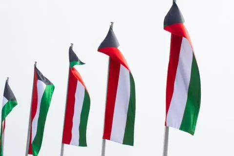 Multiple Kuwait national flags flying during the day at a event in Qatar Stock Photos