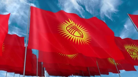 Multiple Kyrgyzstan flags seamless looping waving on blue sky Stock Footage 343682088