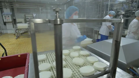 Multiple laborers deal with the whey cheese production at the dairy factory Stock Footage 277894751