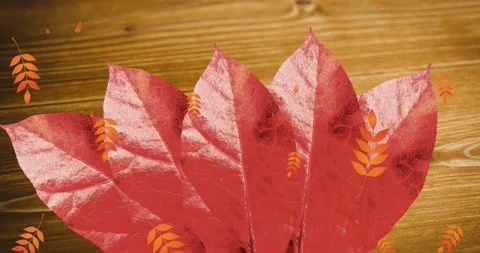 Multiple leaves pattern icons falling over autumn maple leaf against wooden Stock Footage 162943336