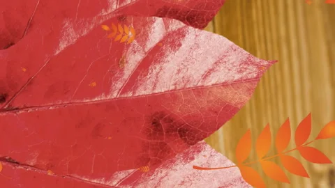 Multiple leaves pattern icons falling over autumn maple leaf against wooden Stock Footage 312607822