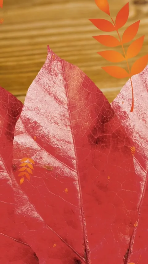Multiple leaves pattern icons falling over autumn maple leaf against wooden Stock Footage 324703212