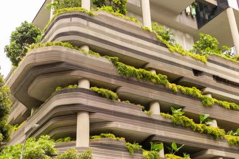 Multiple levels with smooth lines and green plants growing on the terraces... Stock Photos