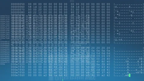 Multiple lines of computer code repeating across screen in real-time. 스톡 동영상 138826277