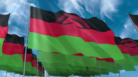 Multiple Malawi flags seamless looping waving on blue sky Stock Footage 343682611