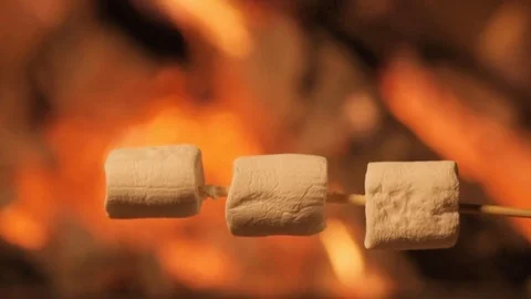 Multiple marshmallows extended over a fire to roast. Stock Footage 82541528