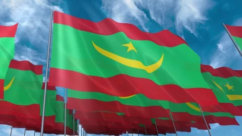 Multiple Mauritania flags seamless looping waving on blue sky Stock Footage 343682871