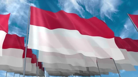 Multiple Monaco flags seamless looping waving on blue sky Stock Footage 343683089