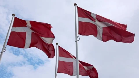 Multiple national flags of Denmark fluttering on flagpoles against a cloudy sky Stock Footage 345757593