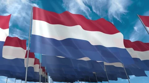 Multiple Netherlands flags seamless looping waving on blue sky Stock Footage 343683493