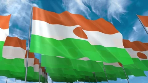 Multiple Niger flags seamless looping waving on blue sky Stock Footage 343683598