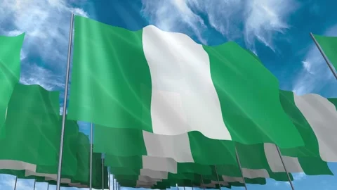 Multiple Nigeria flags seamless looping waving on blue sky Stock Footage 343683546