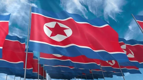 Multiple North Korea flags seamless looping waving on blue sky Stock Footage 343683611