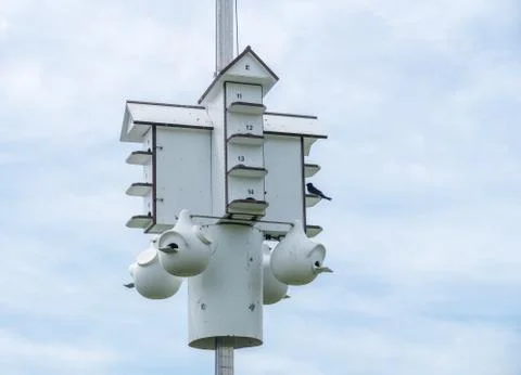 Multiple occupancy bird house or condo in state park Stock Photos