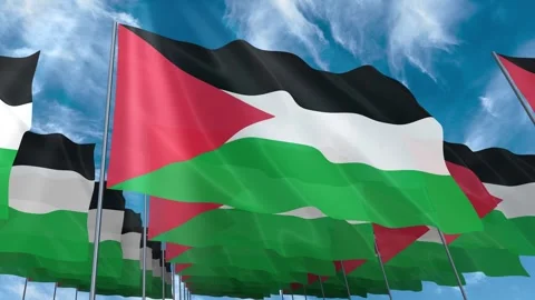 Multiple Palestine flags seamless looping waving on blue sky Stock Footage 343683781