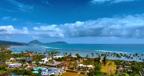 Multiple palm trees growing among the residential houses. Stock Footage 310905675